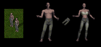 Decorative Breeches (Pants)