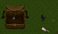 Thumbnail for version as of 03:14, 10 March 2025