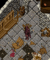 Thumbnail for version as of 06:03, 4 April 2025