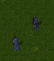 Thumbnail for version as of 03:25, 10 March 2025
