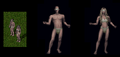 Thumbnail for version as of 05:49, 1 March 2025