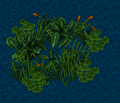 Thumbnail for version as of 07:12, 28 February 2025