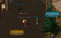 Thumbnail for version as of 06:13, 9 March 2025