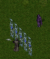 Thumbnail for version as of 09:19, 28 February 2025