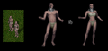 Thumbnail for version as of 05:49, 1 March 2025