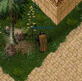 Thumbnail for version as of 02:12, 29 April 2025