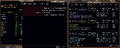 Thumbnail for version as of 17:03, 12 March 2025
