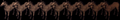 Thumbnail for version as of 02:13, 10 March 2025