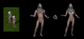 Thumbnail for version as of 05:49, 1 March 2025