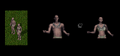 Thumbnail for version as of 10:04, 2 March 2025